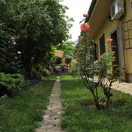 公寓 Brankova Kuca 斯雷姆斯基卡尔洛夫奇