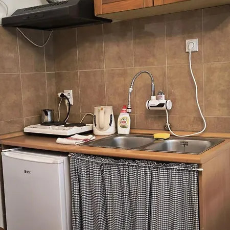 Brankova Kuca 公寓 斯雷姆斯基卡尔洛夫奇