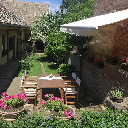 公寓 Brankova Kuca 斯雷姆斯基卡尔洛夫奇