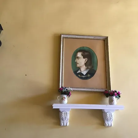 公寓 Brankova Kuca 斯雷姆斯基卡尔洛夫奇