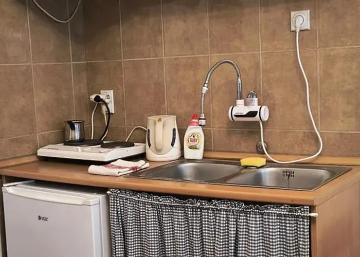 Brankova Kuca Διαμέρισμα Σρέμσκι Καρλόβτσι