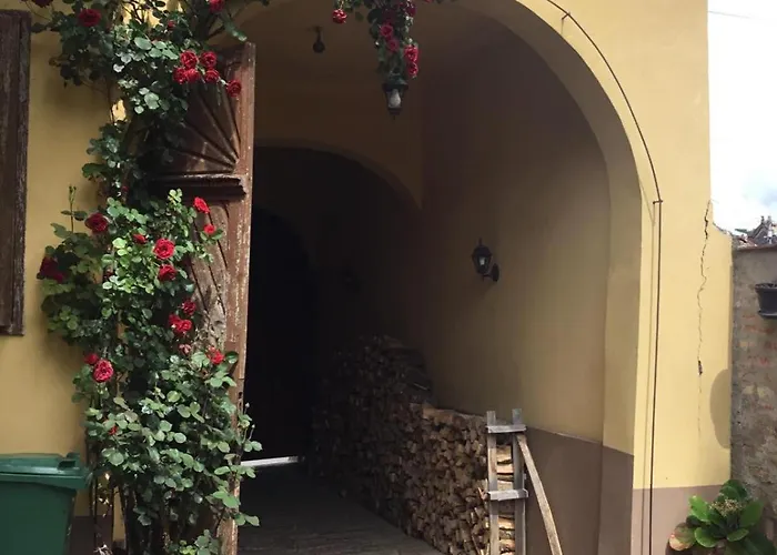 Brankova Kuca Διαμέρισμα Σρέμσκι Καρλόβτσι